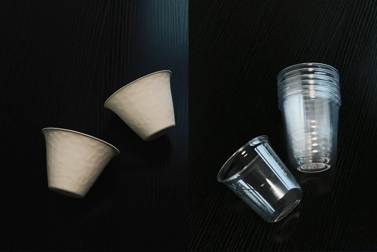 Disposable Cups for Party Selection Guide